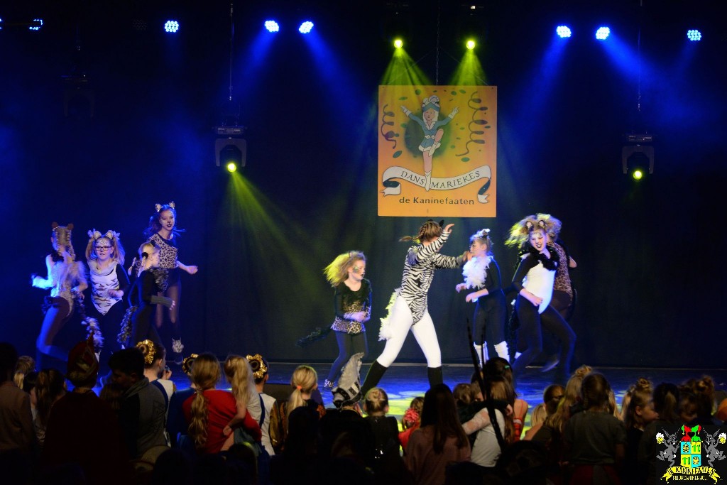 ../Images/Dansmariekefestival 2020 339.jpg